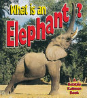 What Is an Elephant? cover