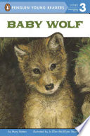 Baby Wolf cover