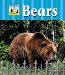 Bears cover