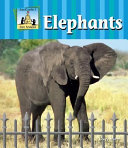 Elephants cover