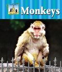 Monkeys cover