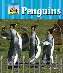 Penguins cover