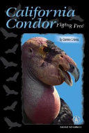 California Condor: Flying Free cover