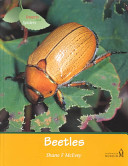 Beetles cover