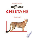Cheetahs cover