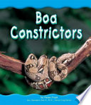Boa Constrictors cover