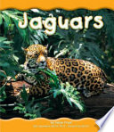 Jaguars cover