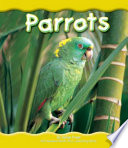 Parrots cover