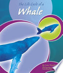 The Life Cycle of a Whale cover