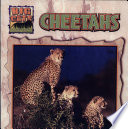 Cheetahs cover