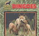 Dingoes cover