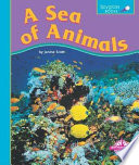 A Sea of Animals cover