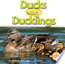 Ducks Have Ducklings cover
