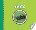 Ants cover