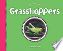 Grasshoppers cover