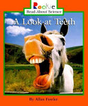 A Look at Teeth cover