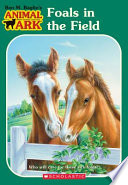 Foals in the Field cover