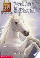 Stallion in the Storm cover