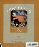 Seashells cover