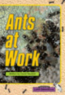 Ants at Work cover