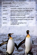 Penguins on Parade cover