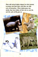 Wild Baby Animals cover