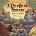 A Perfect Name cover