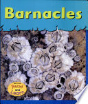 Barnacles cover