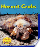 Hermit Crabs cover