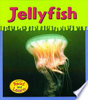 Jellyfish cover
