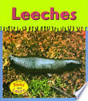 Leeches cover