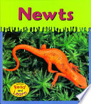 Newts cover
