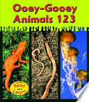 Ooey-Gooey Animals 123 cover