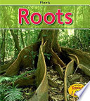 Roots cover