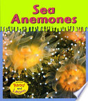 Sea Anemones (Heinemann) cover