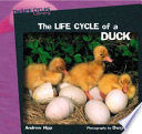 The Life Cycle of a Duck cover