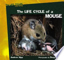 The Life Cycle of a Mouse cover