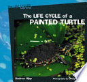 The Life Cycle of a Painted Turtle cover