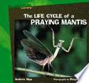 The Life Cycle of a Praying Mantis cover