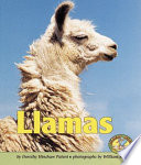 Llamas cover