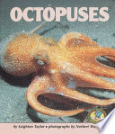 Octopuses cover