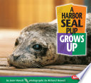 A Harbor Seal Pup Grows Up cover