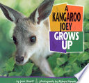 A Kangaroo Joey Grows Up cover