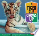 A Tiger Cub Grows Up cover