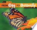 From Egg to Butterfly cover