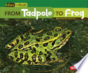 From Tadpole to Frog cover
