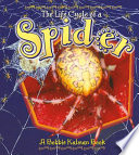 The Life Cycle of a Spider cover
