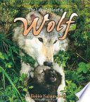 The Life Cycle of a Wolf cover