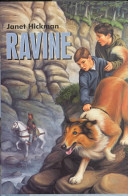 Ravine cover