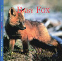 Baby Fox cover